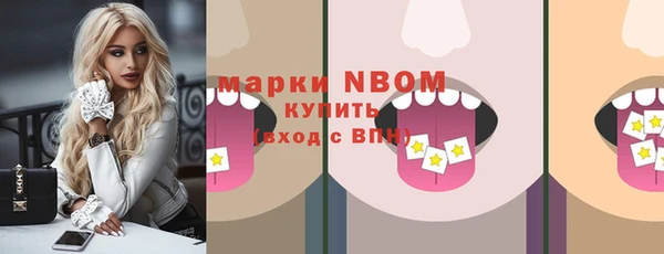 индика Лабытнанги