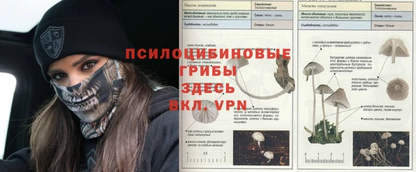прущий лед Алексин
