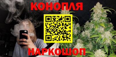 индика Бийск
