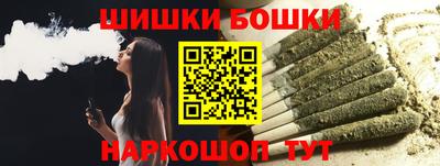 индика Бийск
