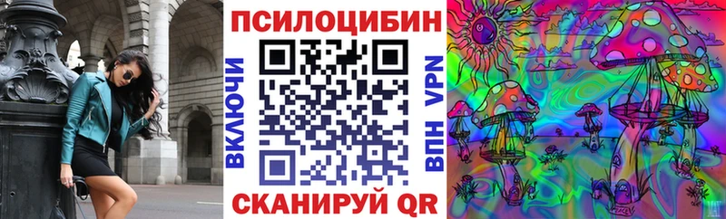 ОМГ ОМГ вход  Егорьевск  Галлюциногенные грибы Psilocybe  цена  
