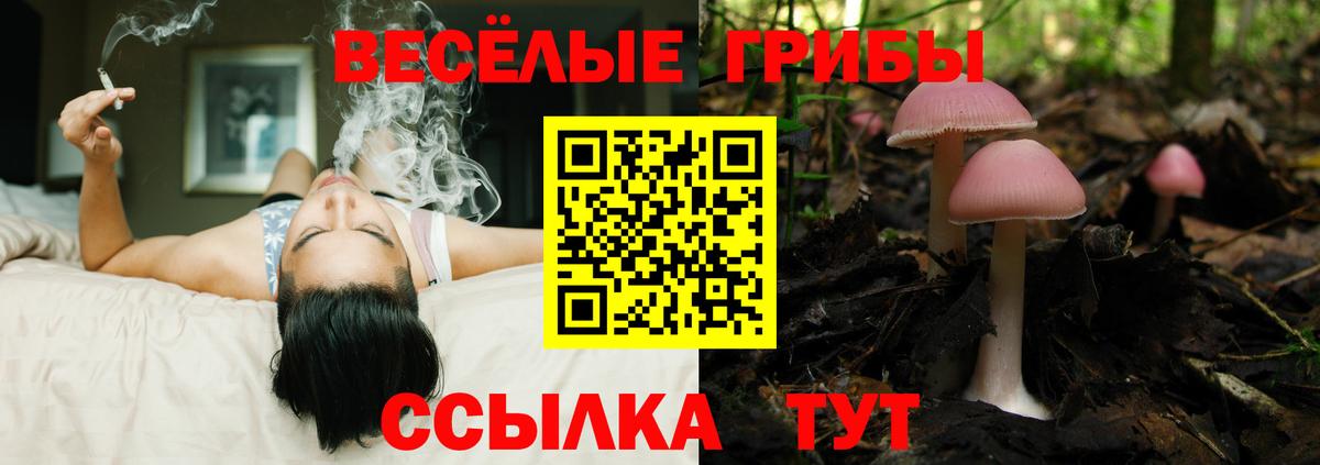 Галлюциногенные грибы прущие грибы  Вход с VPN  Егорьевск 